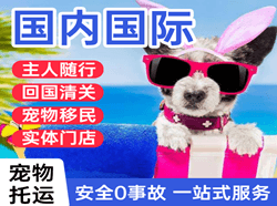 博鳌空运公司国际宠物托运 【国